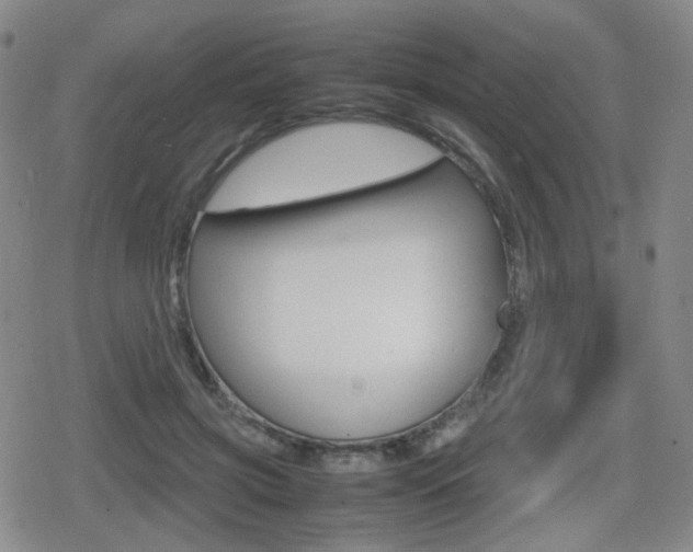 X0000080760549200612150936