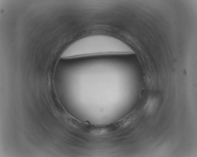 X0000080760551200612150936