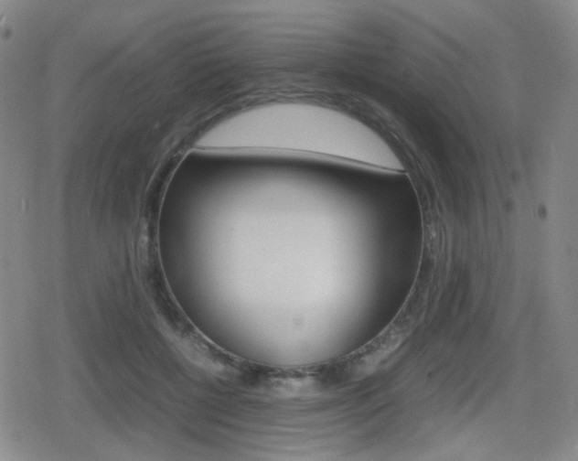 X0000080760552200612150936