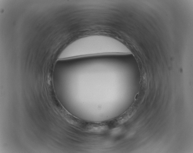X0000080760555200612150936