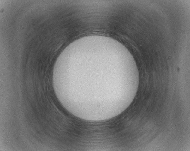 X0000080760560200612150937