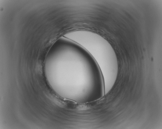 X0000080760562200612150937