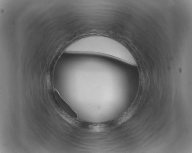 X0000080760564200612150937