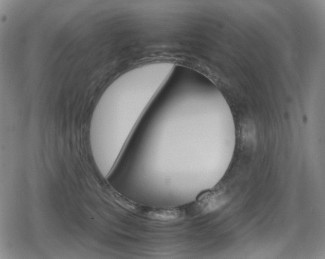 X0000080760567200612150937
