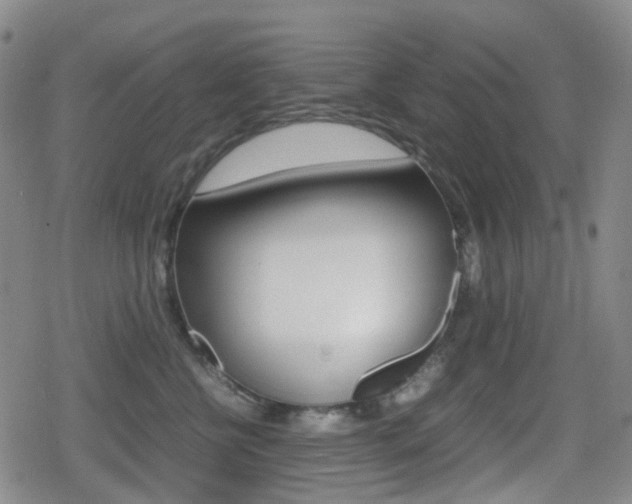 X0000080760570200612150937