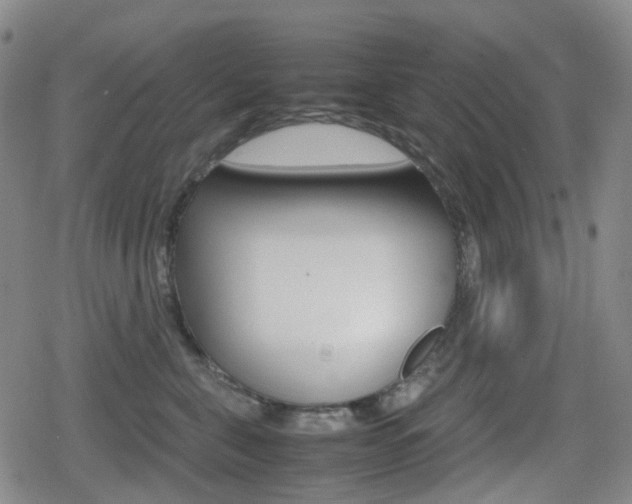 X0000080760571200612150937