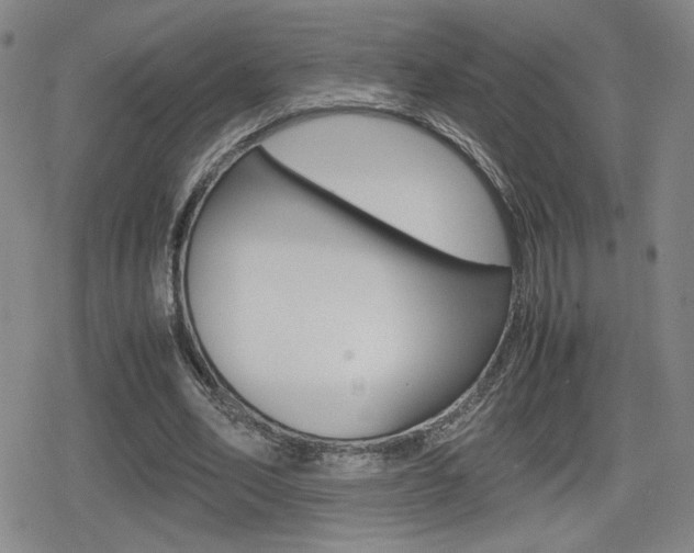 X0000080760582200612150936