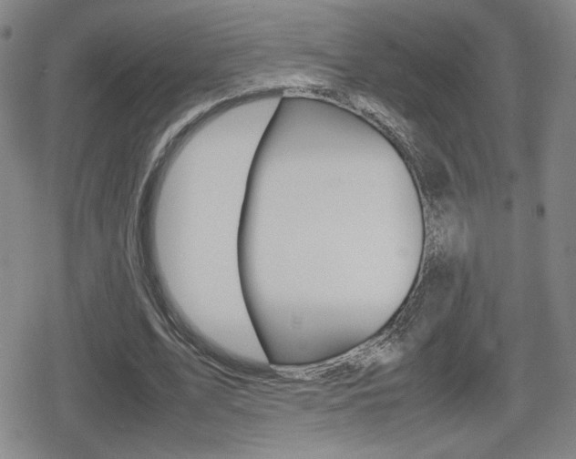 X0000080760583200612150936