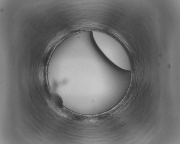 X0000080760586200612150936
