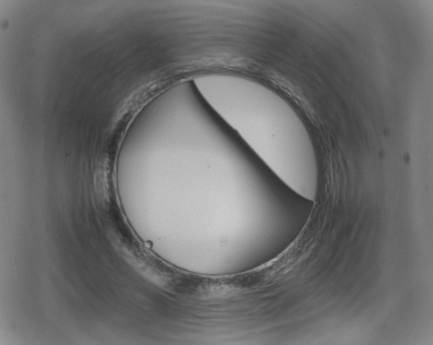 X0000080760590200612150936