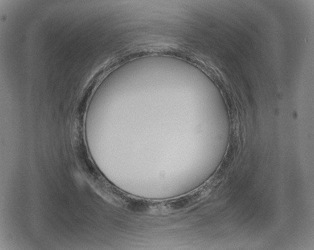 X0000080760591200612150936