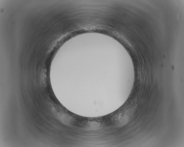 X0000080760592200612150936