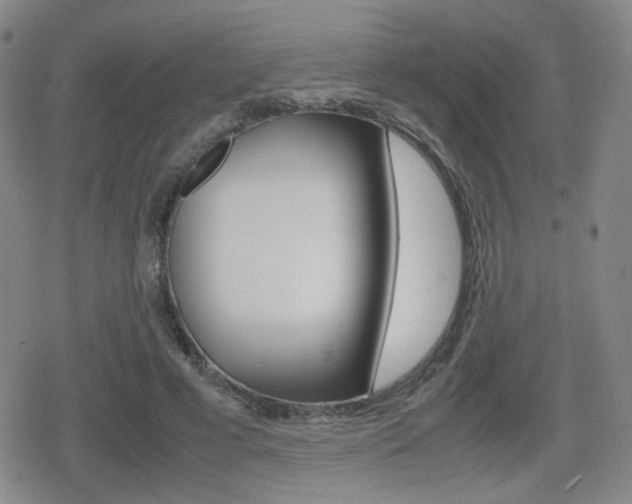 X0000080760593200612150936