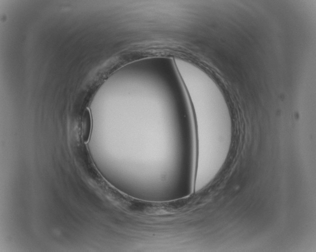 X0000080760597200612150936