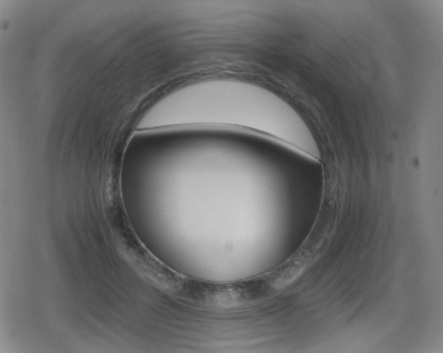 X0000080760600200612150936