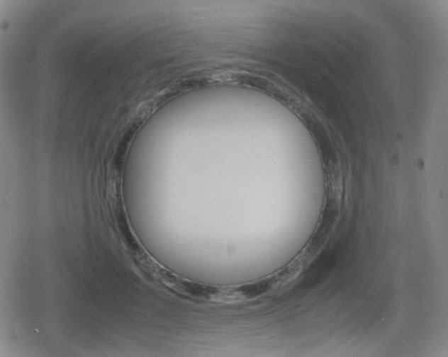 X0000080760603200612150936
