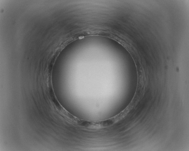 X0000080760604200612150936