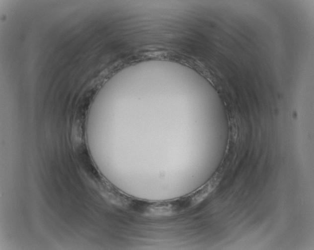 X0000080760606200612150936