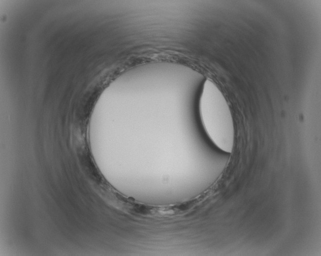 X0000080760607200612150936
