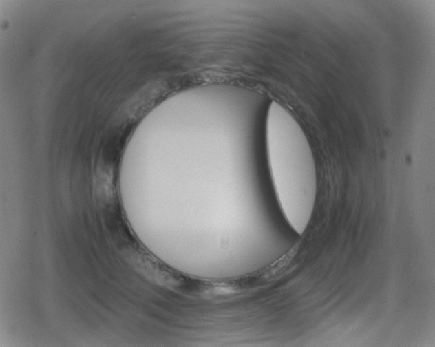 X0000080760610200612150936