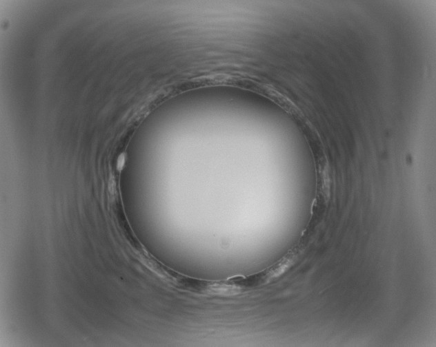 X0000080760617200612150935