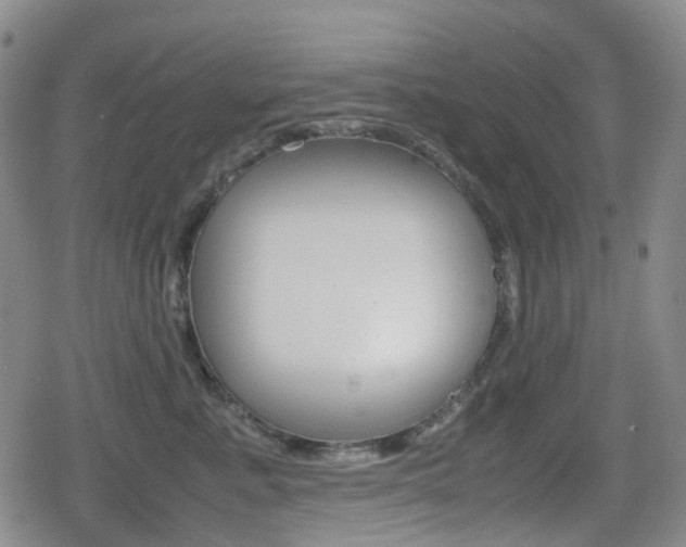 X0000080760619200612150935