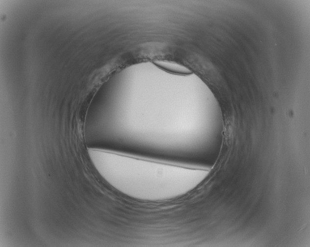 X0000080760623200612150935