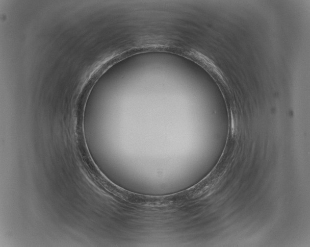 X0000080760627200612150935