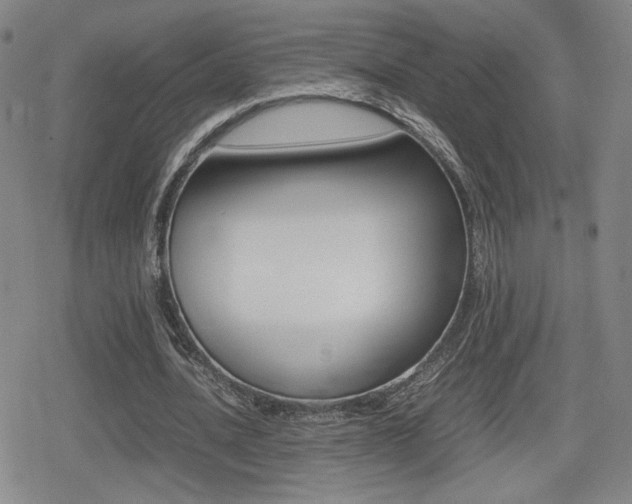 X0000080760628200612150935