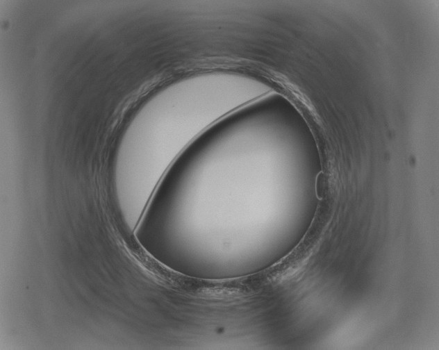 X0000080760633200612150935