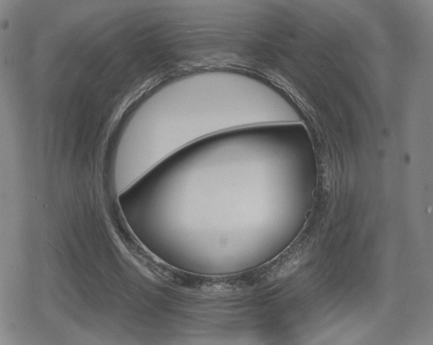 X0000080760634200612150935