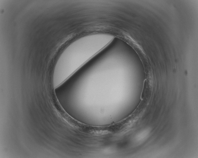 X0000080760637200612150935
