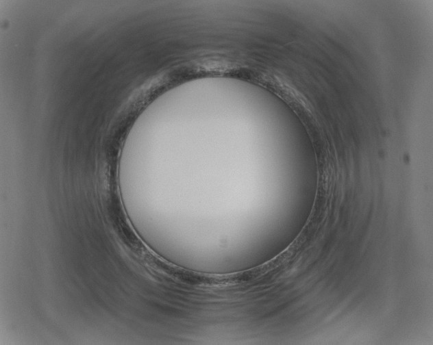 X0000080760639200612150935