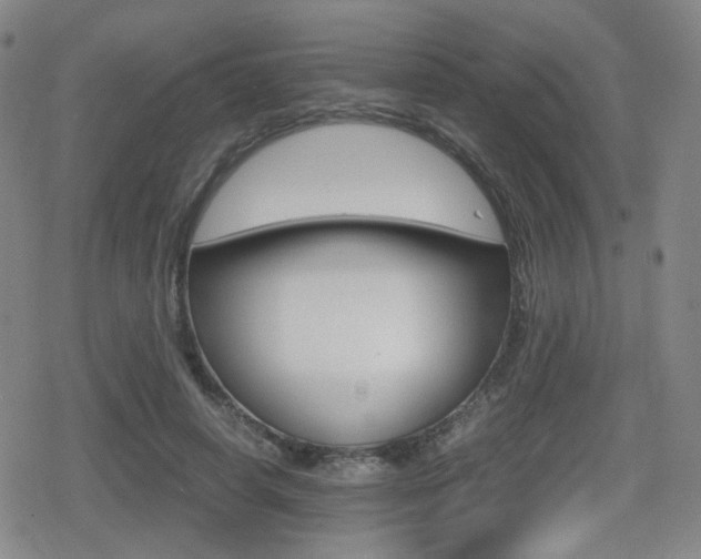X0000080760642200612150935