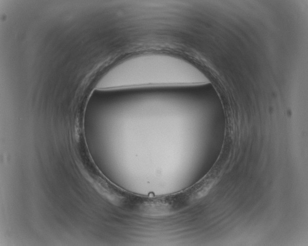 X0000080760644200612150935