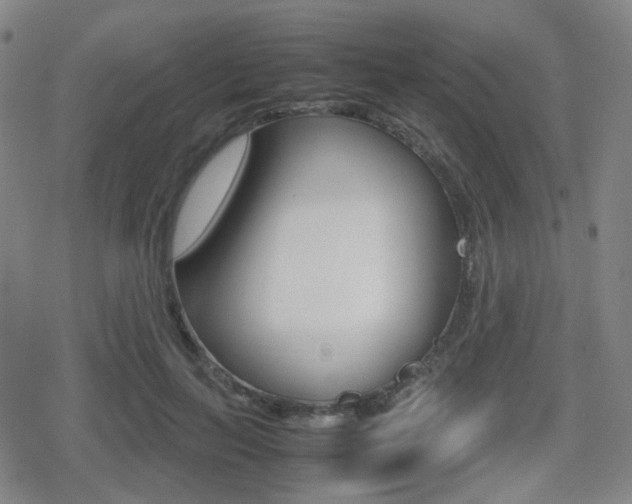 X0000080760647200612150935