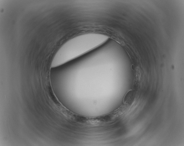 X0000080760650200612150935