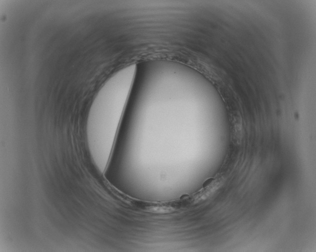 X0000080760654200612150935