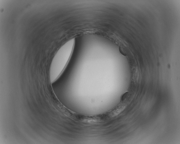 X0000080760655200612150935