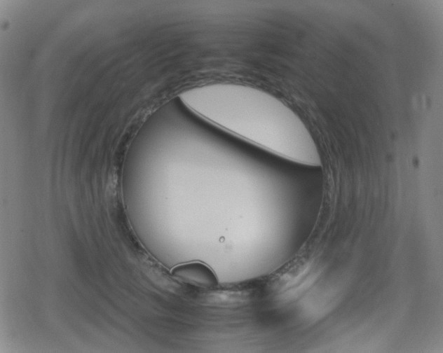 X0000080760657200612150935