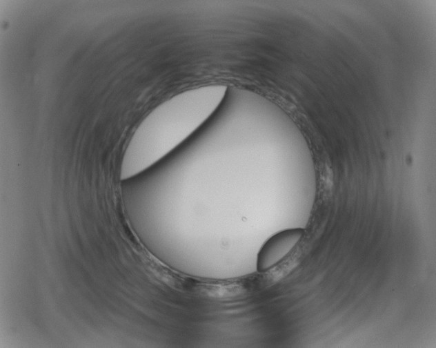 X0000080760663200612150935
