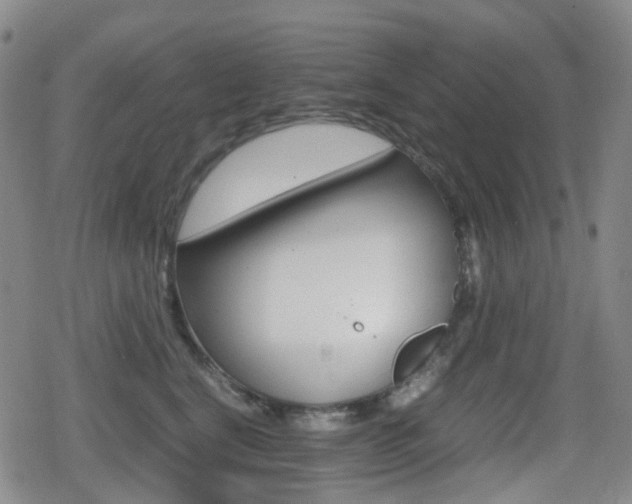 X0000080760664200612150935