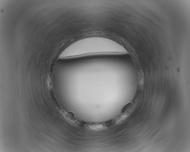 X0000080760669200612150935