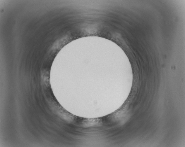 X0000080760672200612150935