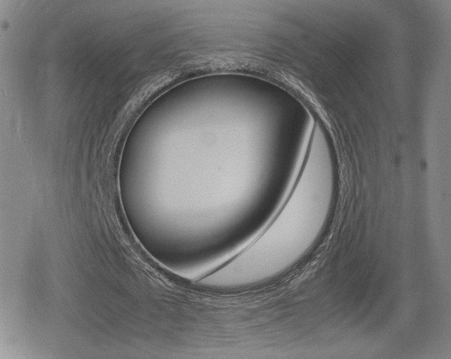 X0000080760673200612150934