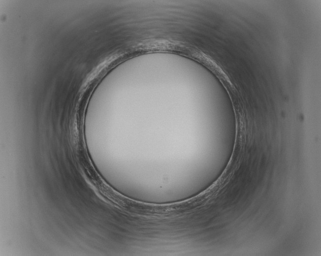 X0000080760674200612150934