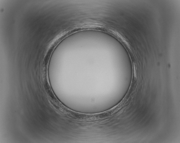 X0000080760675200612150934
