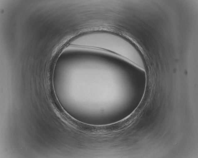 X0000080760677200612150934