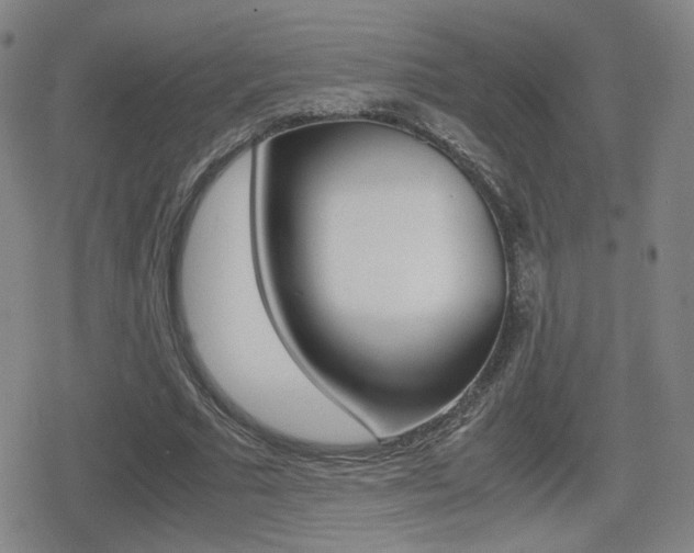 X0000080760681200612150934