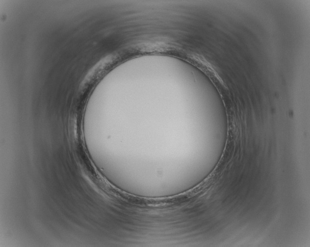 X0000080760686200612150934